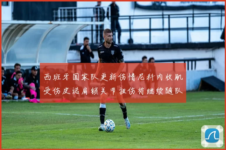 西班牙国家队更新伤情尼科内收肌受伤皮诺肩锁关节扭伤将继续随队训练